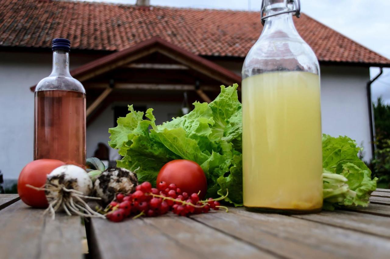 Zakatek Szczescia Eko Agroturystyka Kiwity Exteriör bild